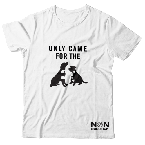 Only came for the dogs