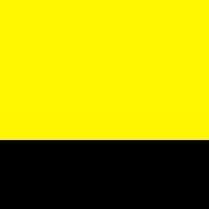 Burton Albion Football Club