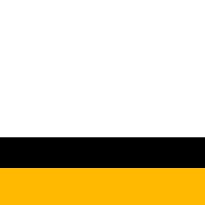 Port Vale Football Club